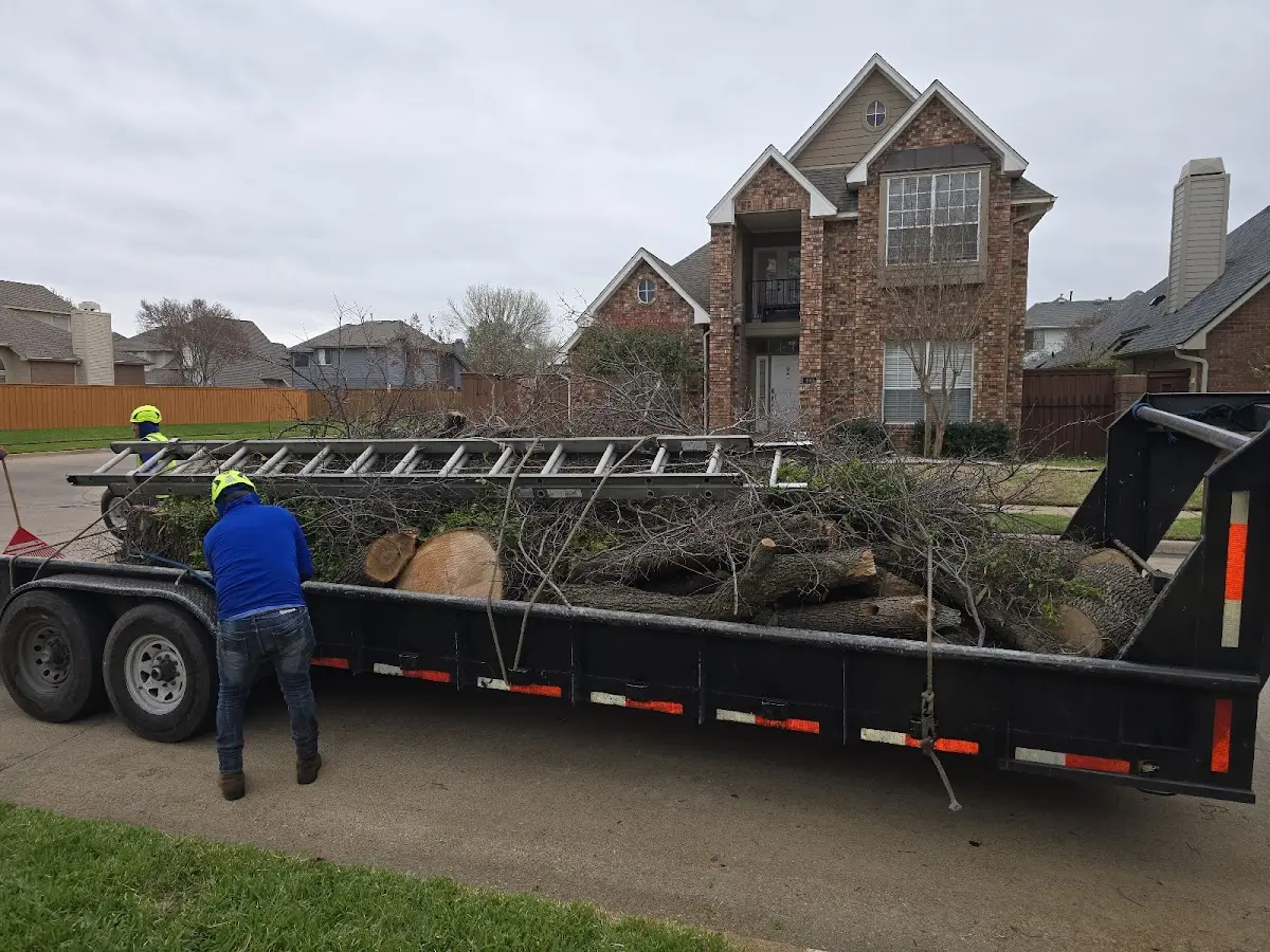 Expert Lot Clearing with proper safety equipment in Mission